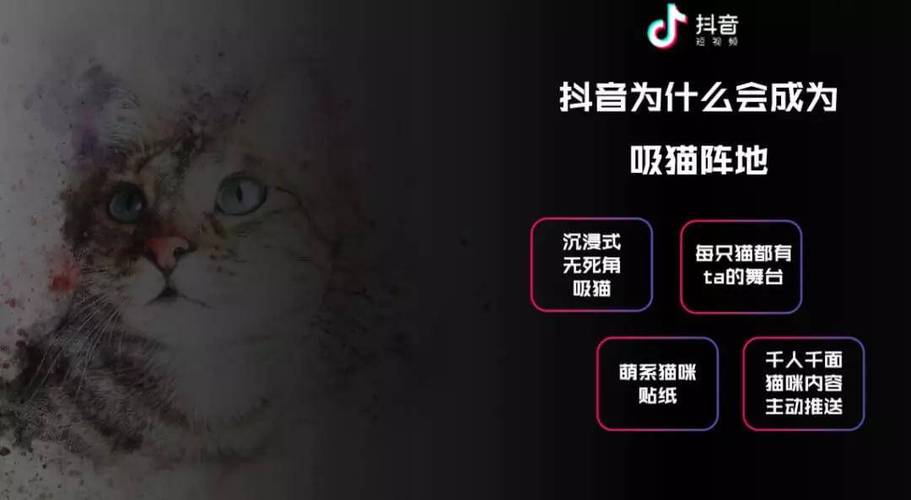 抖音特效知识是知识猫丫(抖音有什么特效功效)
