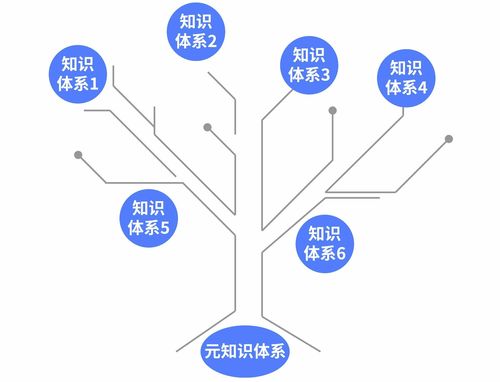 知识元共现啥啥的知识(知识元检索是什么意思)