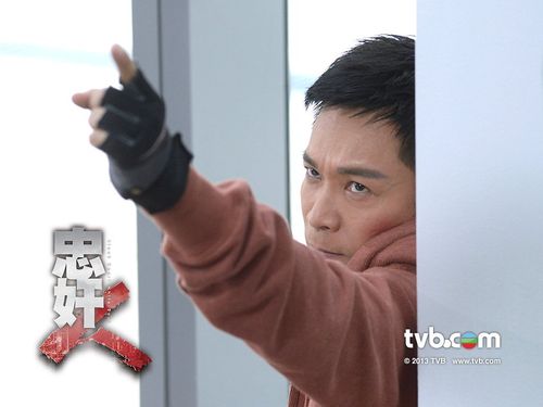 忠奸人tvb演员表护国军魂演员表的简单介绍