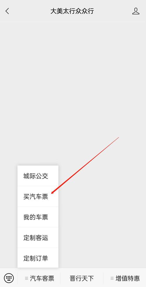 汽车票购票网站(汽车票网上购票官网)