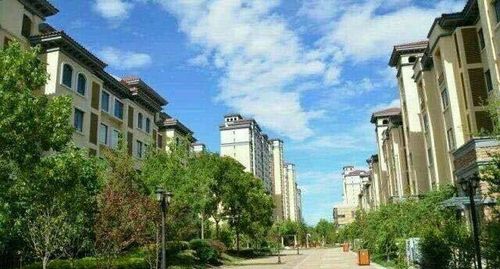武清河西务房价十年后中国房价(天津市武清区河西务镇二手房)