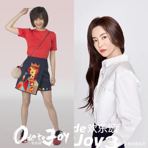 校园舞动青春演员表欢乐颂3演员表(欢乐青春舞蹈)