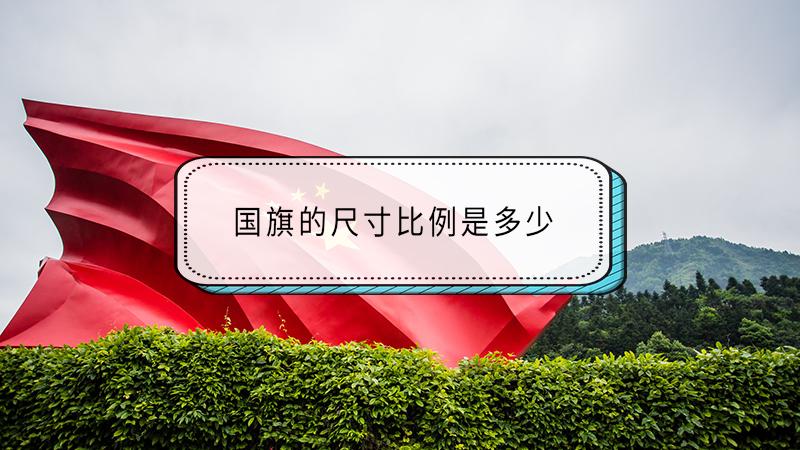 国旗尺寸数据提取数据换算(国旗尺寸比例是多少)