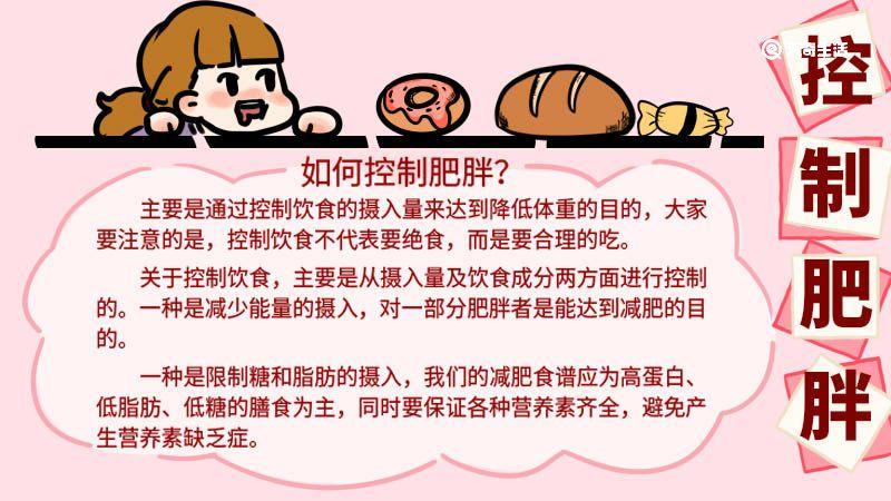 控固知识点肥胖的冷知识(控制肥胖宣传语)