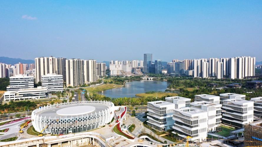 知识城3万伊姐小知识(知识城是干嘛的)