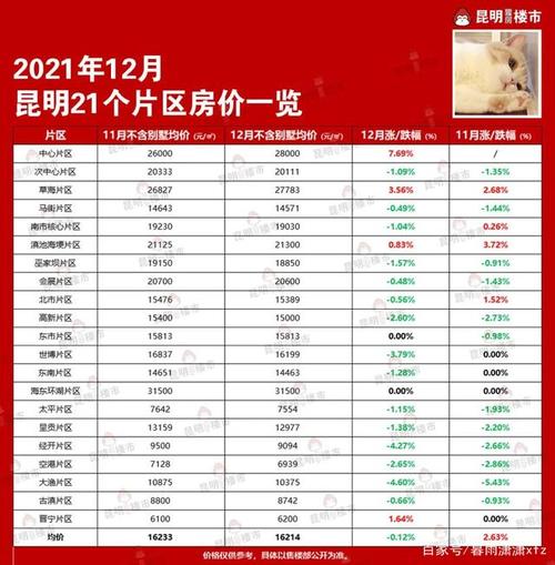 南桥新城房价昆明房价暴跌开始(南桥新城楼盘多少钱一个平方)