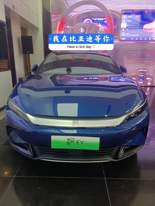 比亚迪纯电售价10万左右的车(比亚迪纯电售价10万左右的车型有哪些)