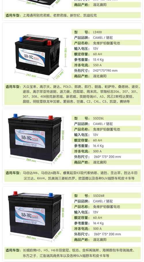 骆驼电瓶型号尺寸大全(骆驼电瓶型号尺寸大全图片)