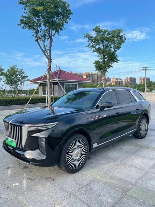 红旗suv新款纯电(红旗纯电动2021款)