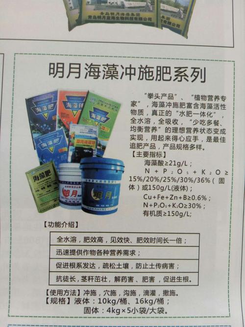 明月海藻待遇(明月海藻是国企吗)