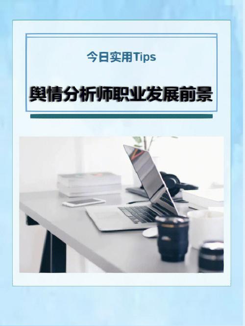 网络情报分析师待遇(网络情报分析师待遇如何)