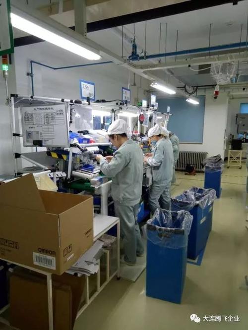 大连精有限公司待遇怎么样(大连精工电子有限公司招聘)