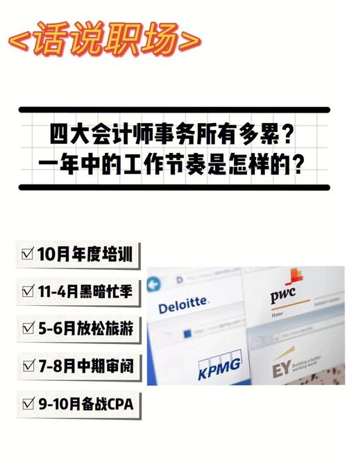奥迪特审计待遇(审计奥迪特收入)