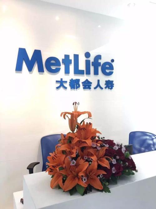 大都会待遇(大都会员工待遇)