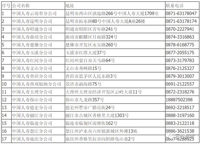 云南中国人寿工资待遇怎么样啊(中国人寿保险云南分公司招聘)