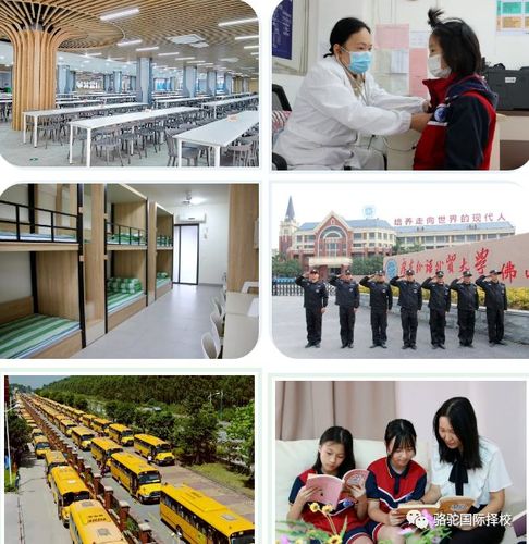 广外附设外语学校待遇(广外附设外语学校待遇怎么样)