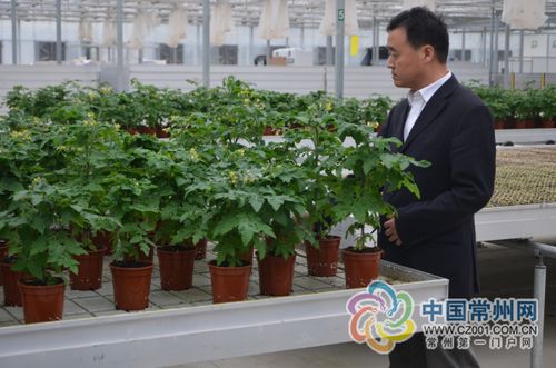 常州家绿林果园艺有限公司待遇(常州家绿林果园艺有限公司待遇怎么样)