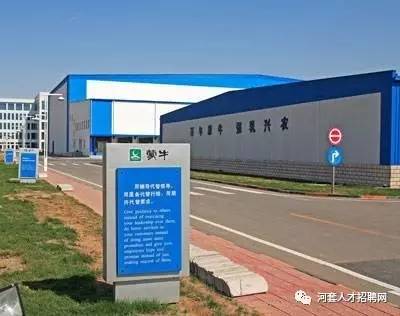 蒙牛北京待遇(蒙牛乳业北京股份有限公司招聘)