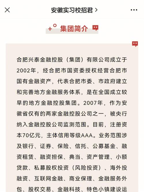兴泰金融控股待遇(兴泰资本招聘)
