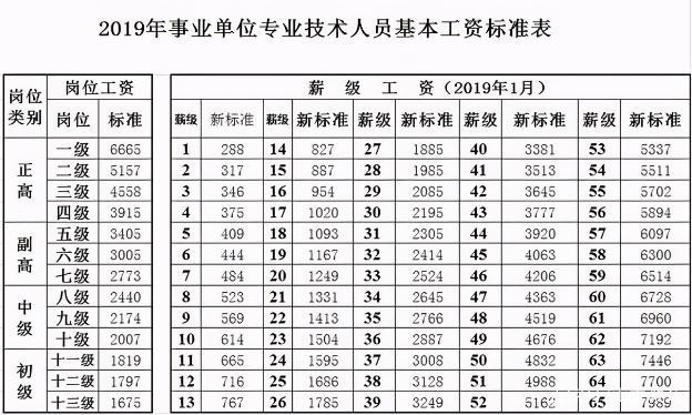 佛山小学工资待遇(佛山小学老师工资多少)