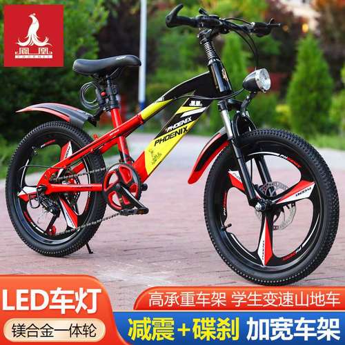 凤凰学院老师工资待遇(凤凰学校副校长)