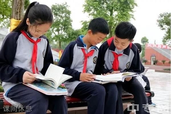 宜宾翠外初中老师待遇(宜宾翠外初中老师待遇如何)