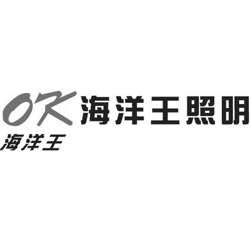 海洋王照明科技待遇(海洋王照明上市了吗)