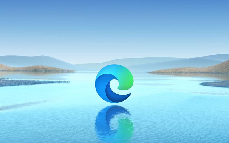 海豚浏览器实习待遇(海豚浏览器怎么样)