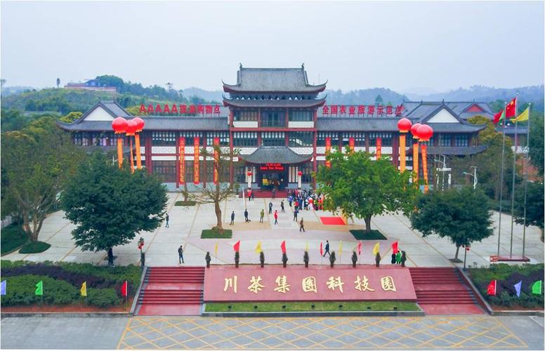川喜集团待遇(创业路300号川喜集团)