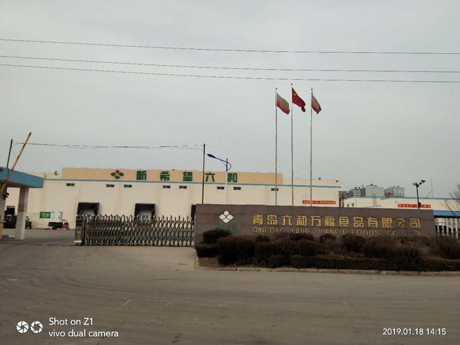 青岛普仁仪器公司待遇(青岛普仁明堂诊所)