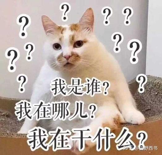 南通海星待遇(南通海星待遇知乎)
