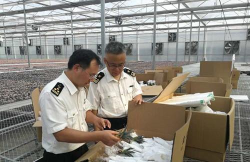 潍坊海关待遇怎么样(潍坊海关待遇怎么样啊)