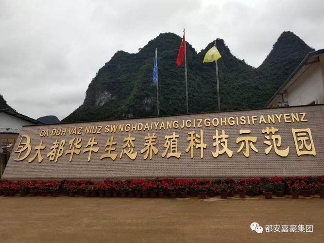 都安水泥厂待遇好吗(都安水泥厂待遇好吗现在)