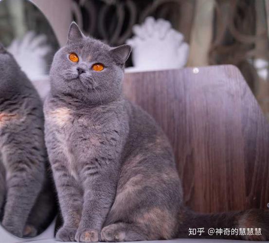 蓝英通华待遇(蓝英集团主要做什么的)