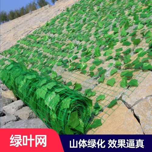 武汉绿网科技待遇(武汉绿网科技有限公司待遇)