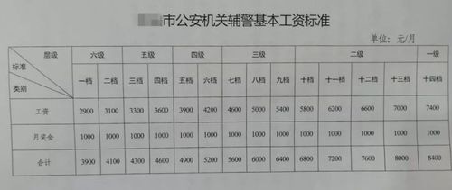 辅警人员工资待遇(辅警工资待遇是多少)