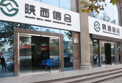 贵州省信合待遇(贵州信合的客服电话)
