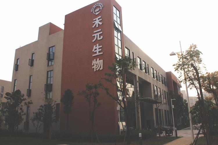 武汉禾元待遇怎么样(武汉元禾生物科技有限公司怎么样)