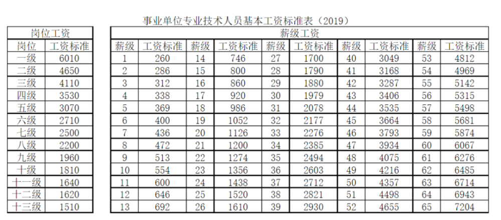 教授二级岗待遇(教授二级工资待遇)
