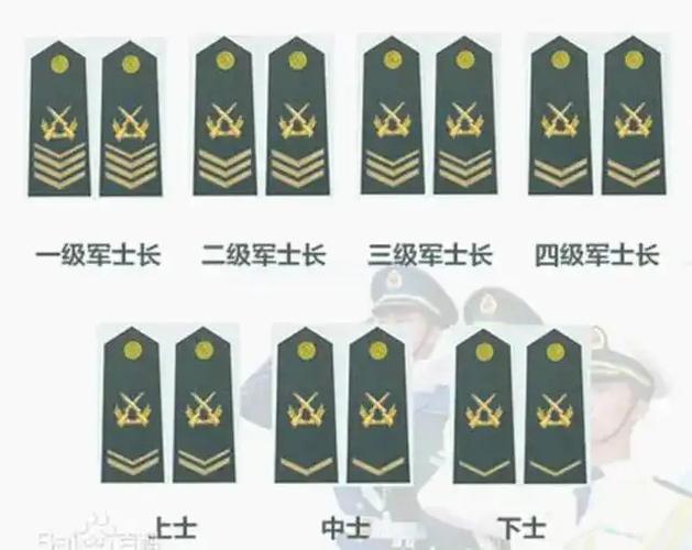 二级军师长待遇(二级军士长待遇副师级)