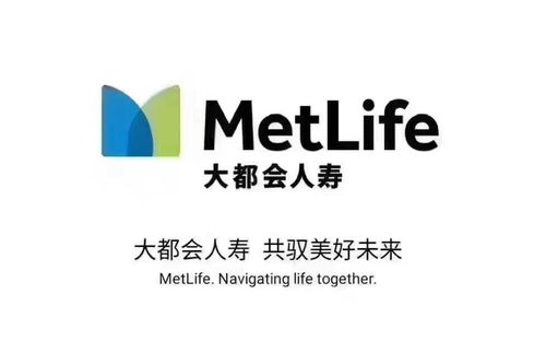 大都会人寿保险公司待遇(大都会人寿保险公司工作怎么样)