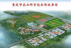 重庆农科院编制待遇(重庆市农科院级别)
