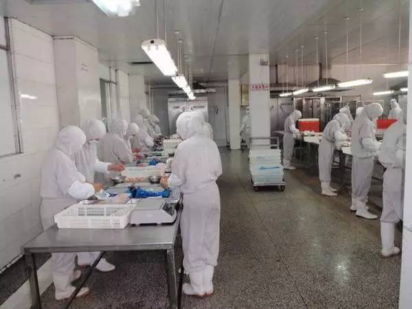 上海食品厂工资待遇怎么样啊(上海食品厂招工包吃住长白班)