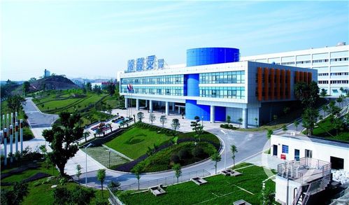 重庆登康待遇怎么样(重庆登康贴吧)