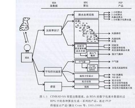 包含rda待遇的词条