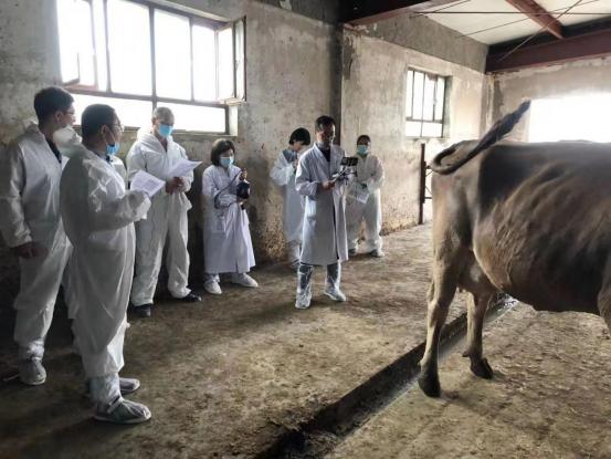 牛场兽医效绩工资待遇考核方案(牛场兽医自学入门知识)