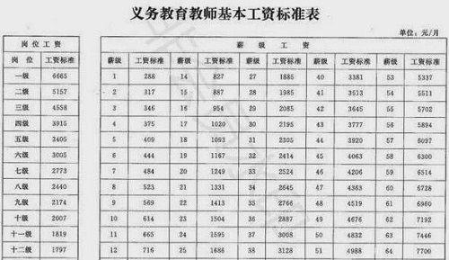 大学初级教师工资待遇(大学初级教师是什么)