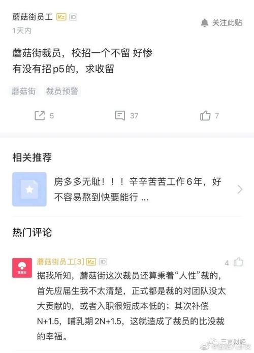 蘑菇街应届生工资待遇(蘑菇街工作)