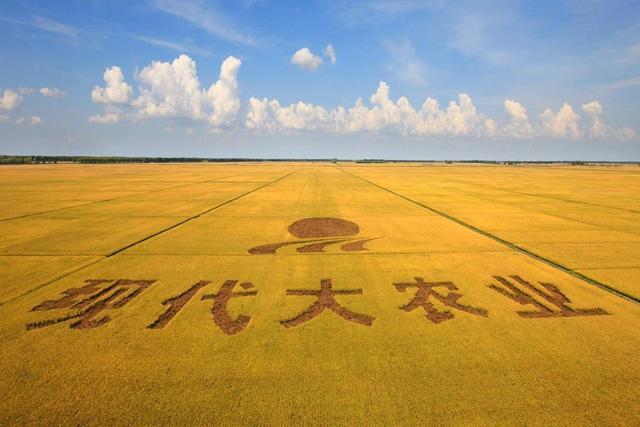 黑龙江农场职工待遇怎么样(黑龙江农场职工待遇怎么样啊)