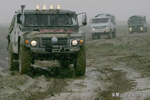 武汉枭龙工资待遇(武汉枭龙汽车技术有限公司招聘)